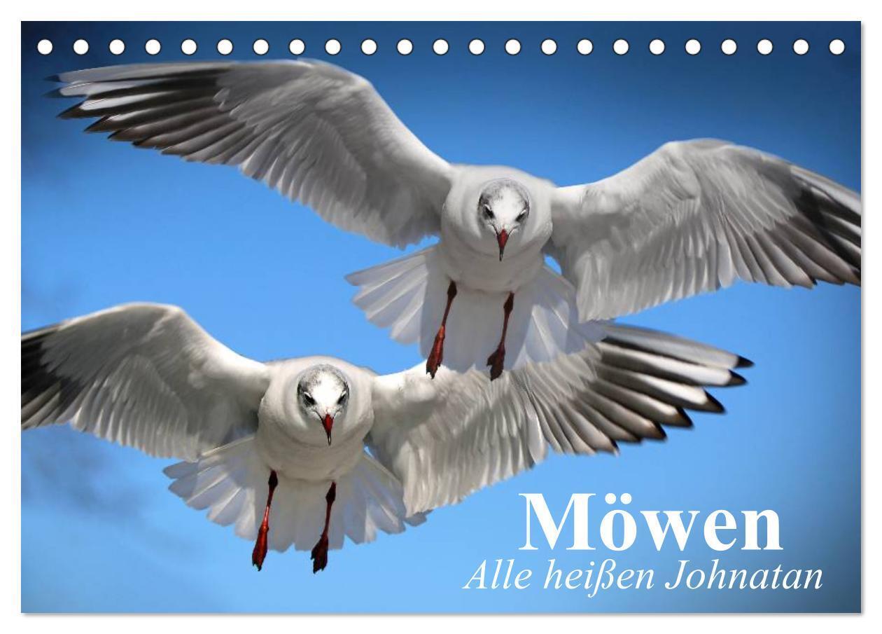 Möwen. Alle heißen Johnatan (Tischkalender 2024 DIN A5 quer), CALVENDO Monatskalender