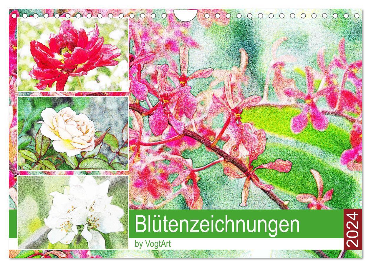 Blütenzeichnungen (Wandkalender 2024 DIN A4 quer), CALVENDO Monatskalender