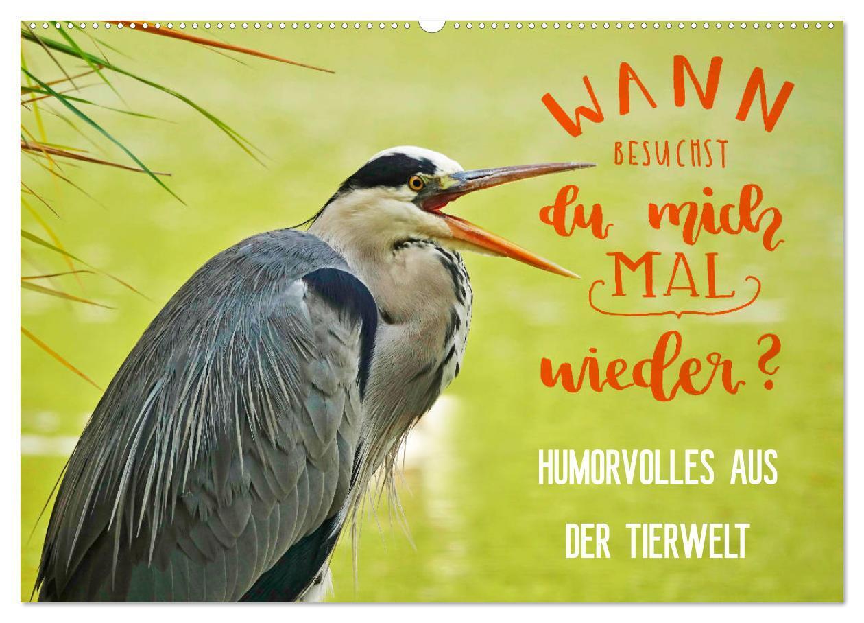 Humorvolles aus der Tierwelt (Wandkalender 2024 DIN A2 quer), CALVENDO Monatskalender