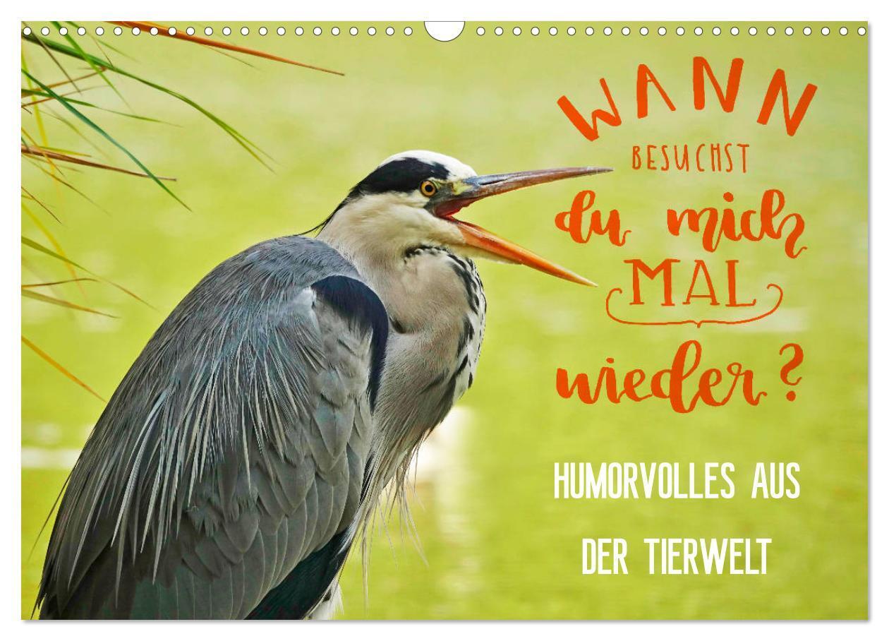 Humorvolles aus der Tierwelt (Wandkalender 2024 DIN A3 quer), CALVENDO Monatskalender