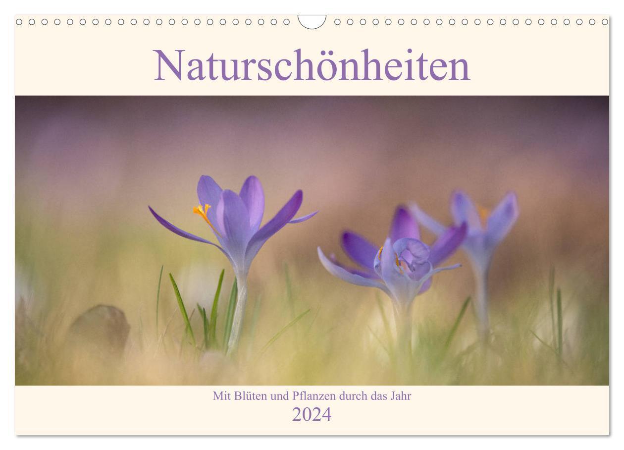 Naturschönheiten - mit Blüten und Pflanzen durch das Jahr (Wandkalender 2024 DIN A3 quer), CALVENDO Monatskalender