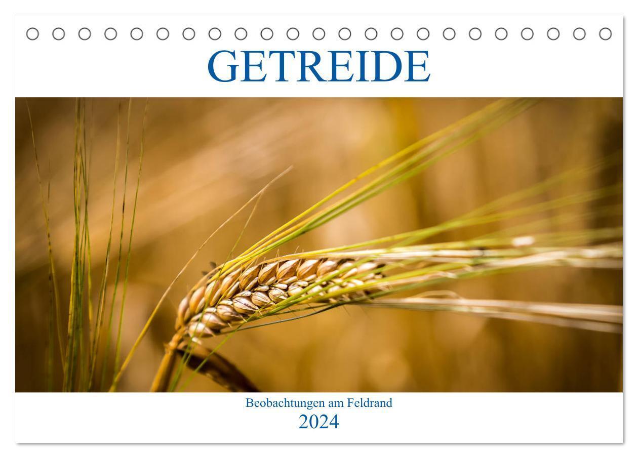 Getreide - Beobachtungen am Feldrand (Tischkalender 2024 DIN A5 quer), CALVENDO Monatskalender
