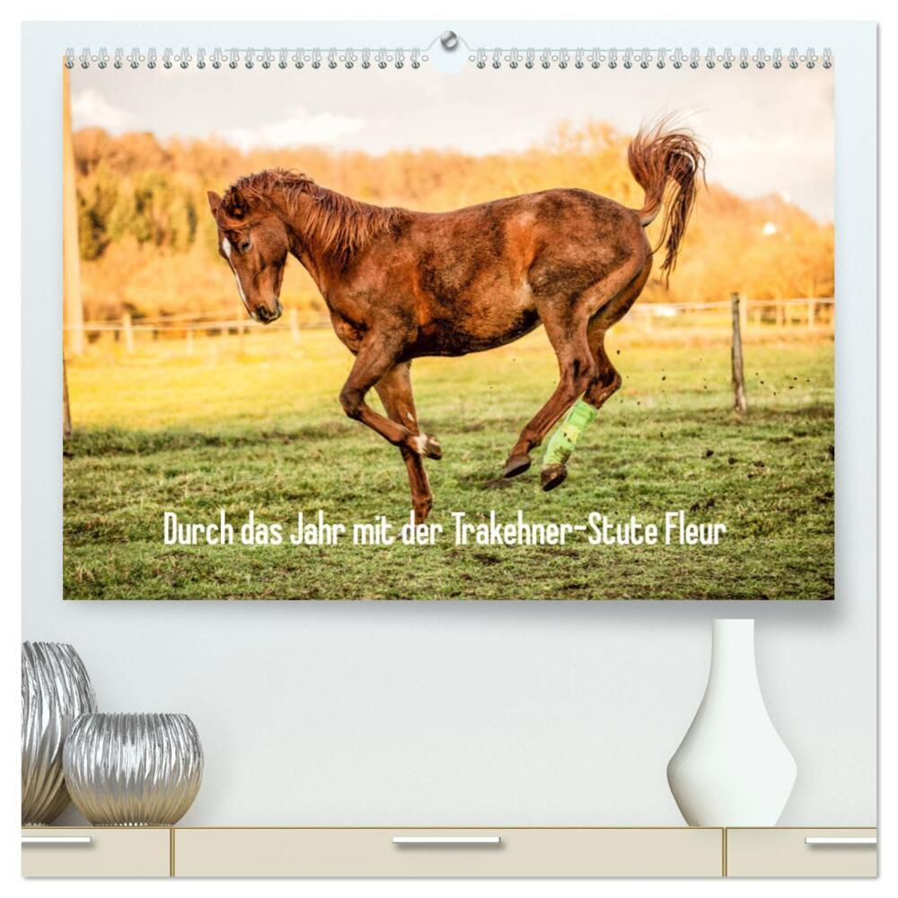 Durch das Jahr mit der Trakehner-Stute Fleur (hochwertiger Premium Wandkalender 2024 DIN A2 quer), Kunstdruck in Hochglanz