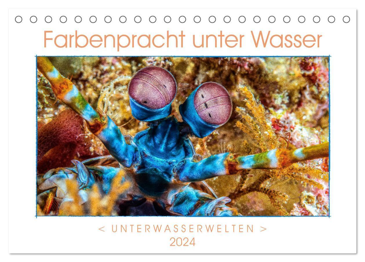 Farbenpracht unter Wasser (Tischkalender 2024 DIN A5 quer), CALVENDO Monatskalender