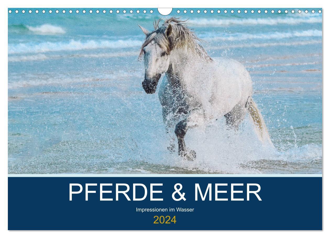 PFERDE & MEER (Wandkalender 2024 DIN A3 quer), CALVENDO Monatskalender