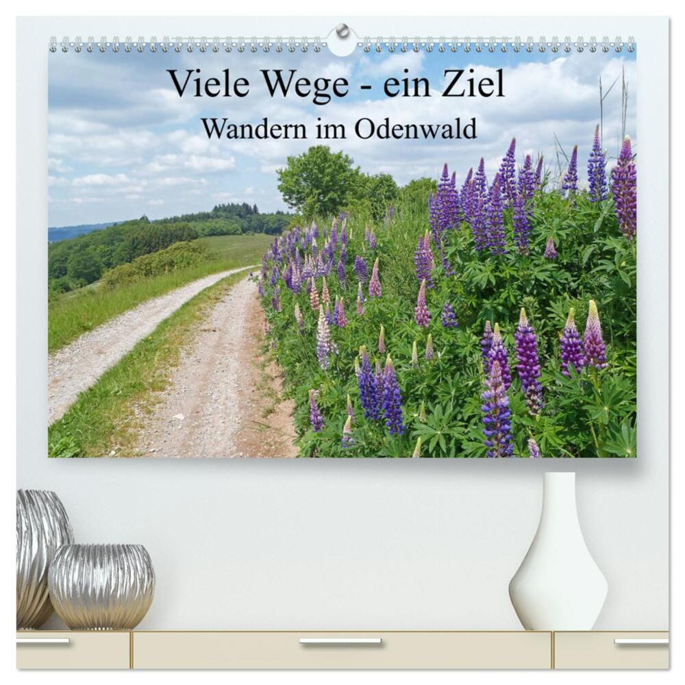 Viele Wege - ein Ziel Wandern im Odenwald (hochwertiger Premium Wandkalender 2024 DIN A2 quer), Kunstdruck in Hochglanz