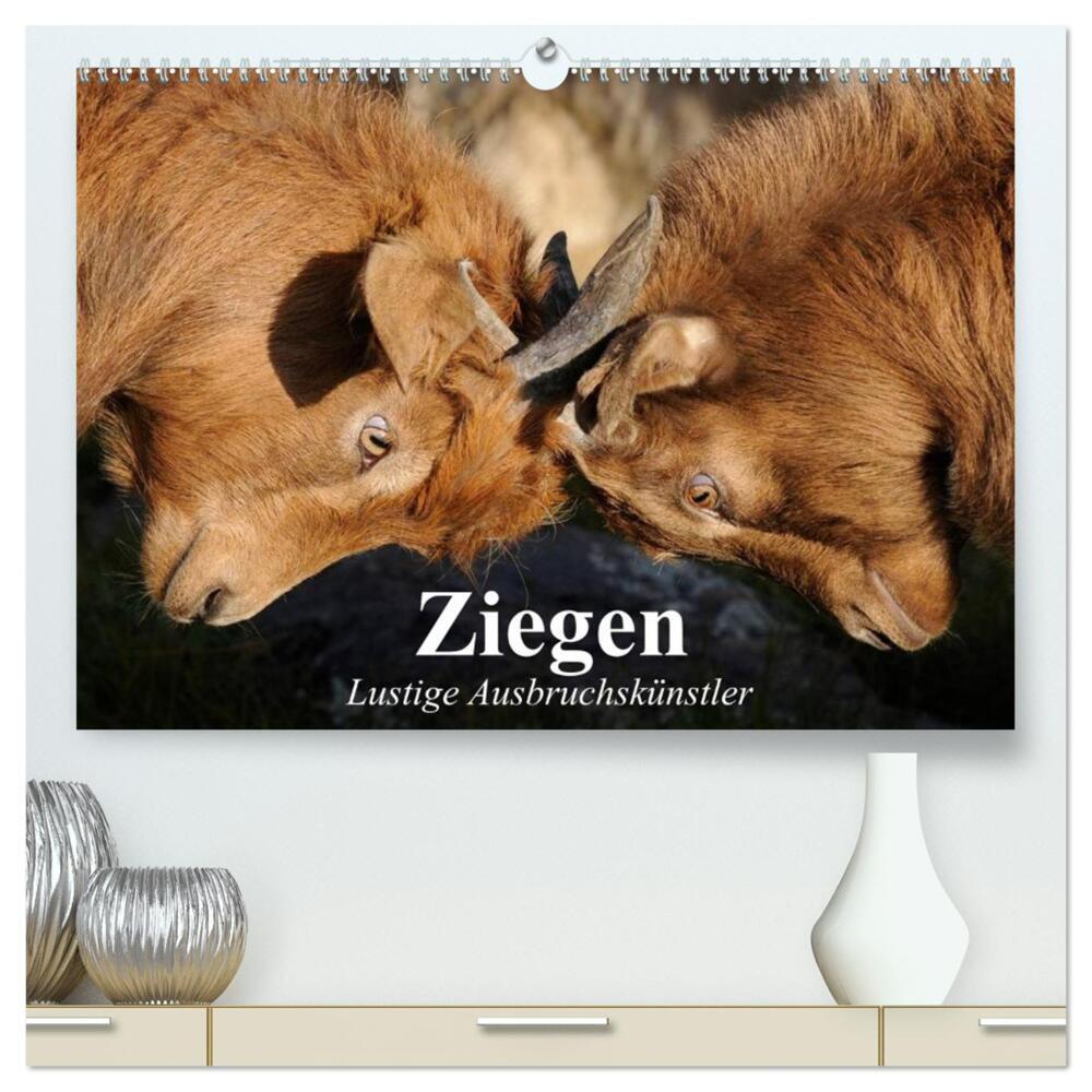 Ziegen. Lustige Ausbruchskünstler (hochwertiger Premium Wandkalender 2024 DIN A2 quer), Kunstdruck in Hochglanz