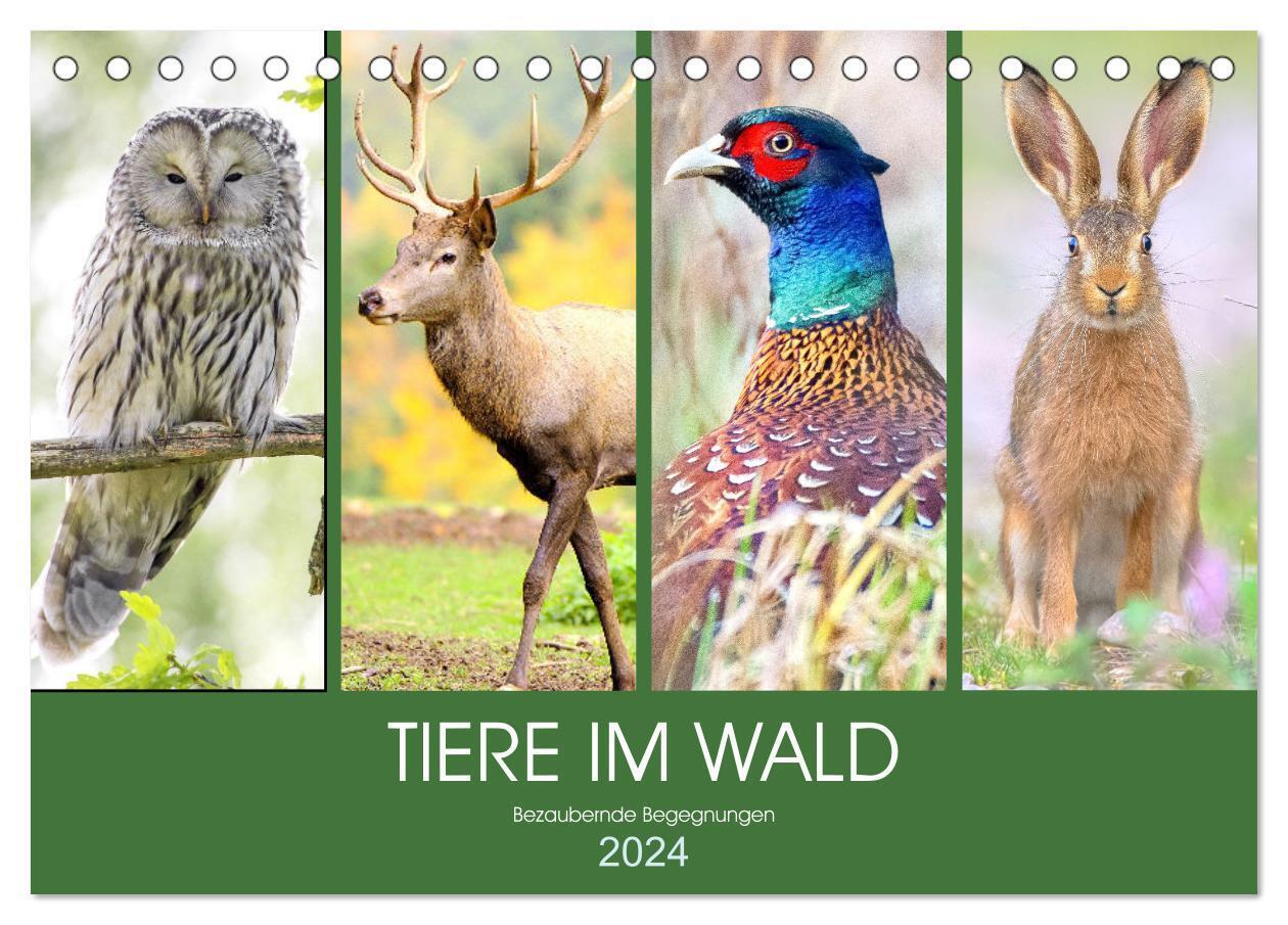 Tiere im Wald. Bezaubernde Begegnungen (Tischkalender 2024 DIN A5 quer), CALVENDO Monatskalender