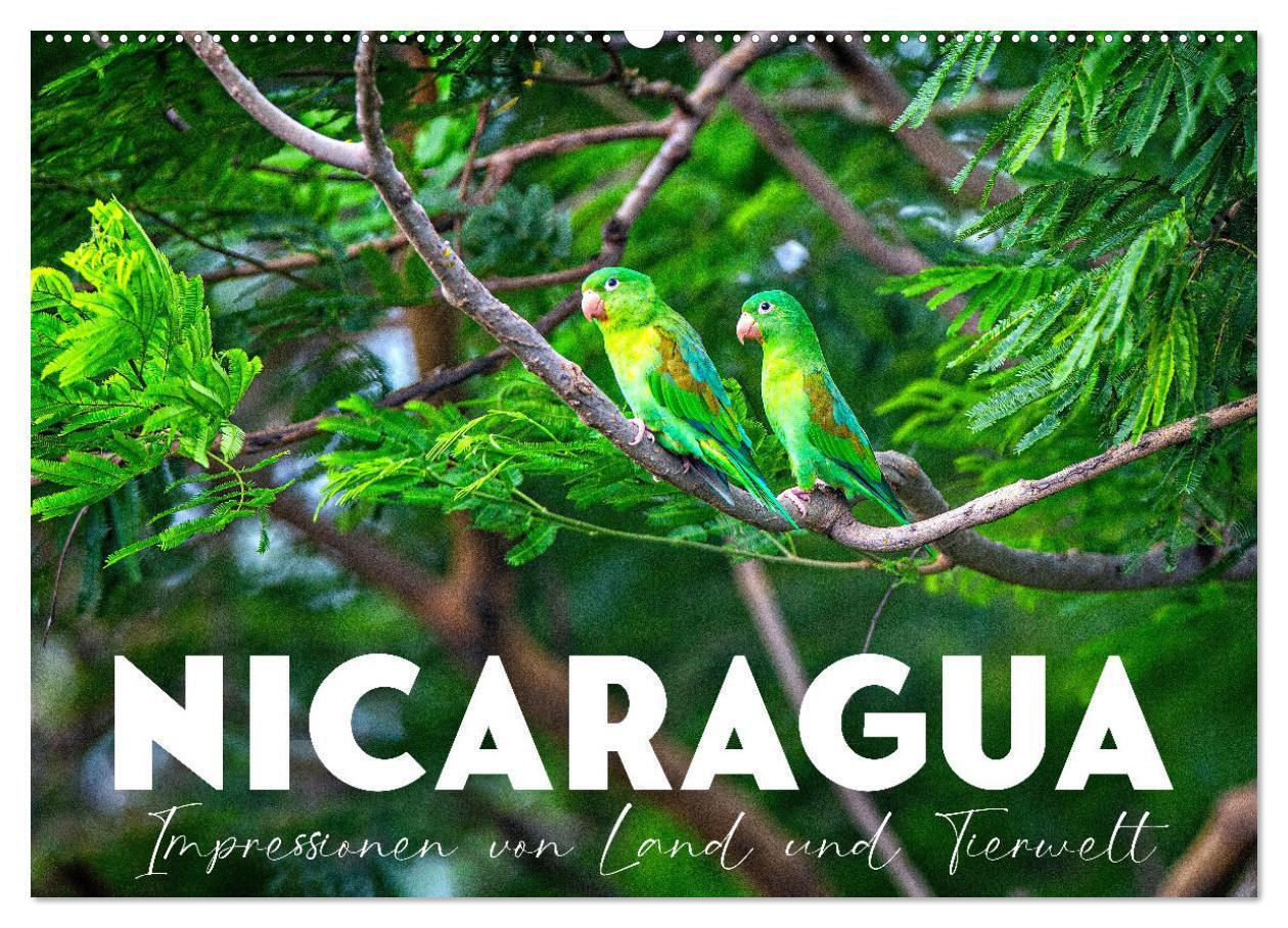Nicaragua - Impressionen von Land und Tierwelt. (Wandkalender 2024 DIN A2 quer), CALVENDO Monatskalender