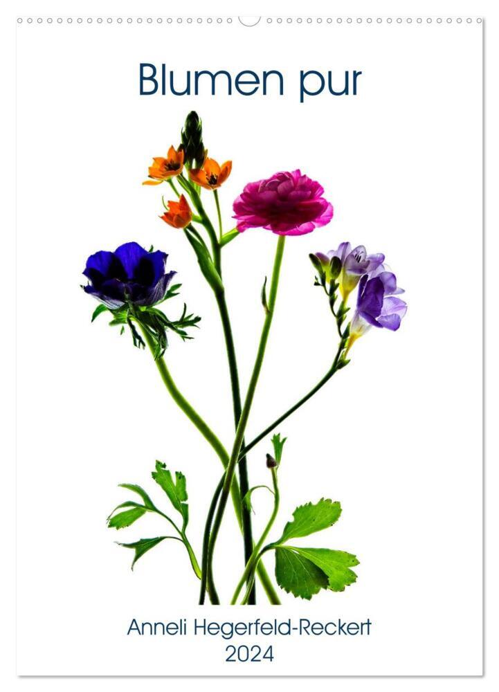 Blumen pur (Wandkalender 2024 DIN A2 hoch), CALVENDO Monatskalender