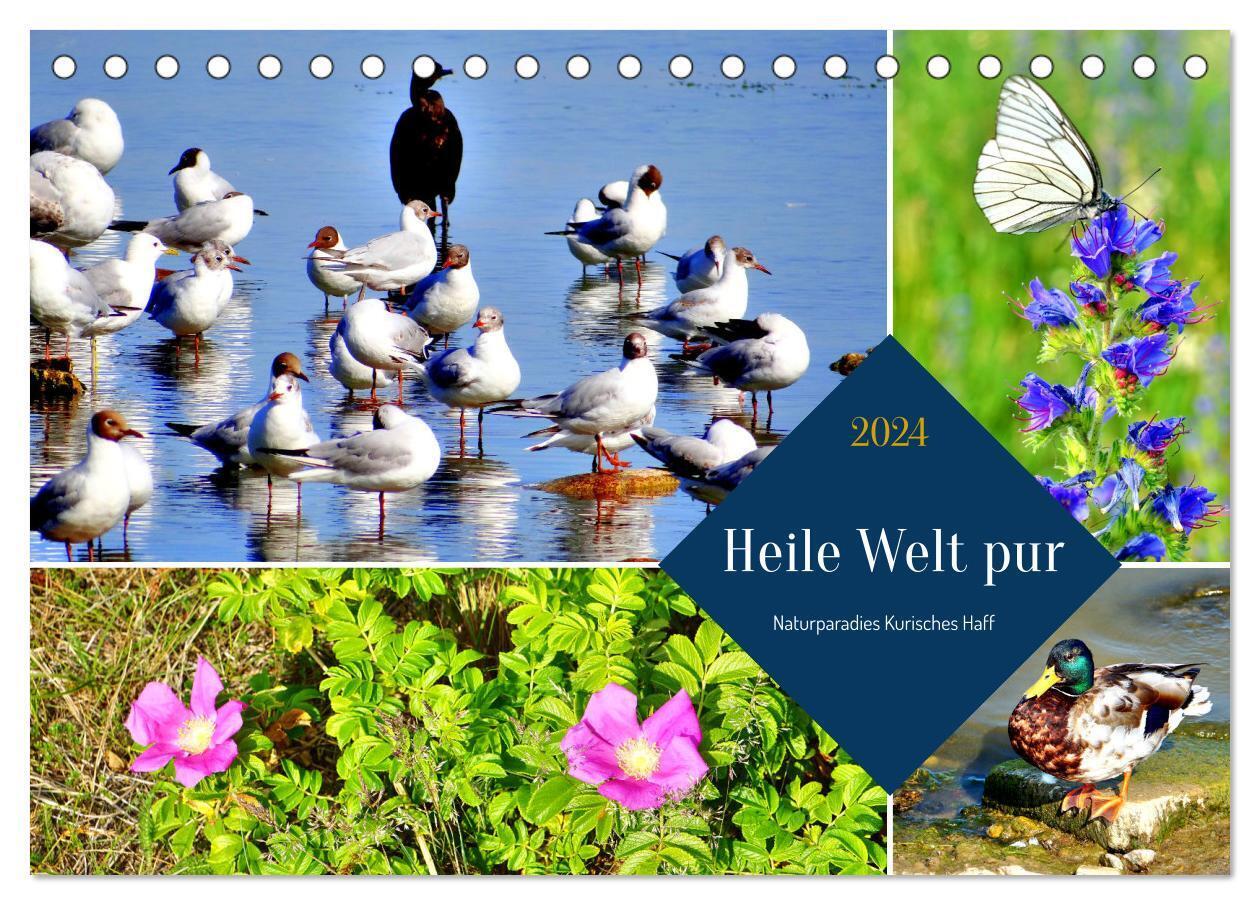 Heile Welt pur - Naturparadies Kurisches Haff (Tischkalender 2024 DIN A5 quer), CALVENDO Monatskalender