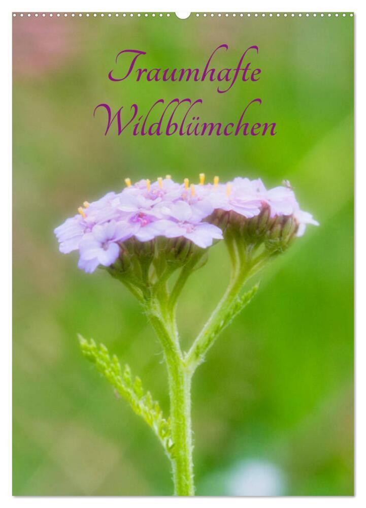Traumhafte Wildblümchen (Wandkalender 2024 DIN A2 hoch), CALVENDO Monatskalender