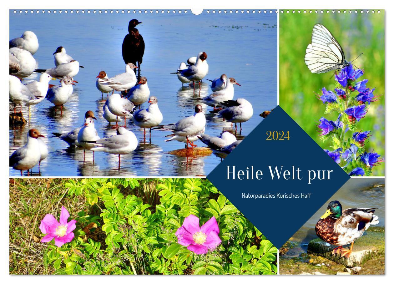 Heile Welt pur - Naturparadies Kurisches Haff (Wandkalender 2024 DIN A2 quer), CALVENDO Monatskalender
