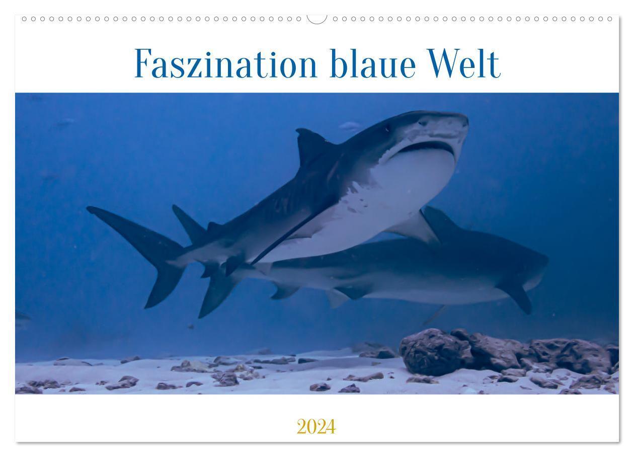 Faszination blaue Welt (Wandkalender 2024 DIN A2 quer), CALVENDO Monatskalender