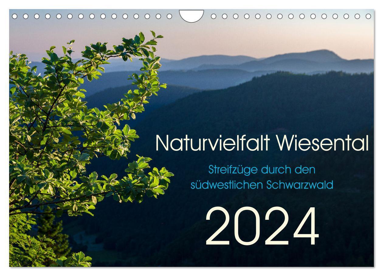 Naturvielfalt Wiesental (Wandkalender 2024 DIN A4 quer), CALVENDO Monatskalender