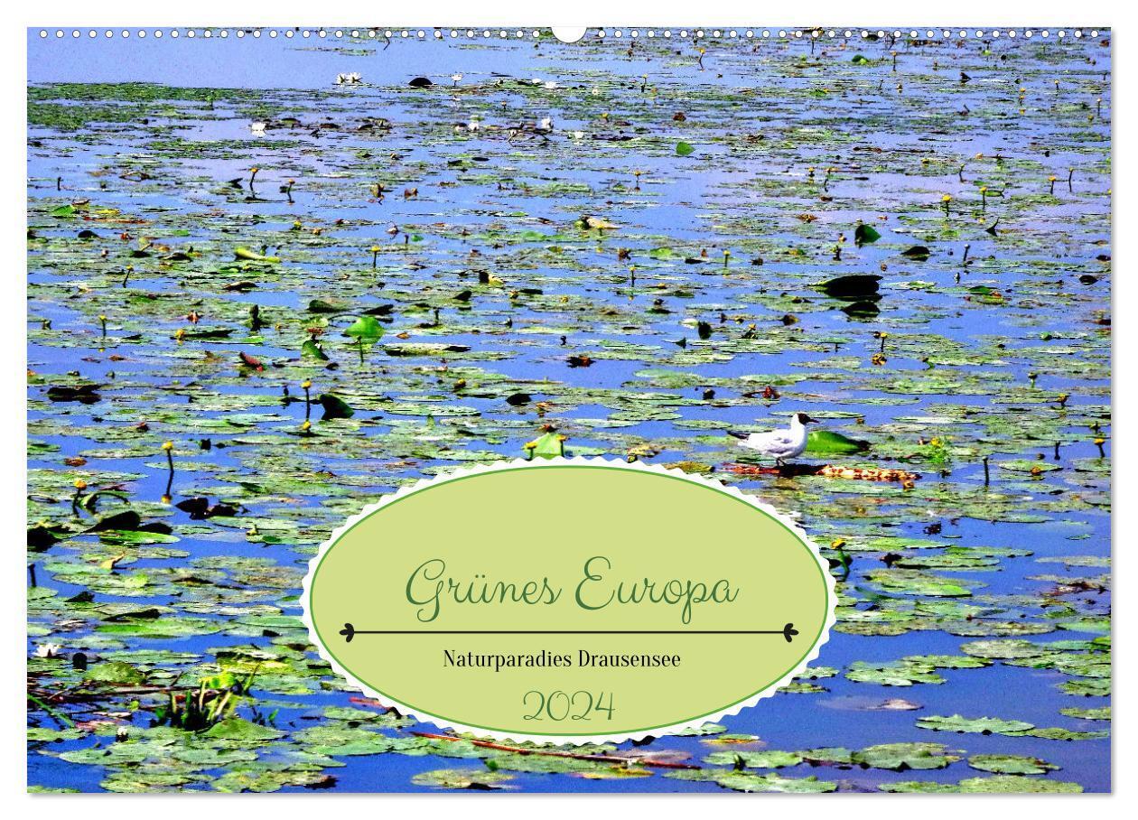 Grünes Europa - Naturparadies Drausensee (Wandkalender 2024 DIN A2 quer), CALVENDO Monatskalender