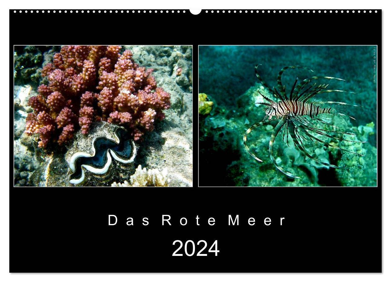 Das Rote Meer - 2024 (Wandkalender 2024 DIN A2 quer), CALVENDO Monatskalender