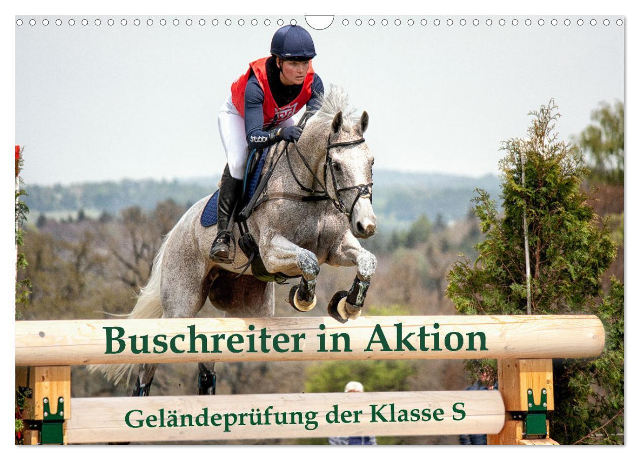 Buschreiter in Aktion (Wandkalender 2024 DIN A3 quer), CALVENDO Monatskalender