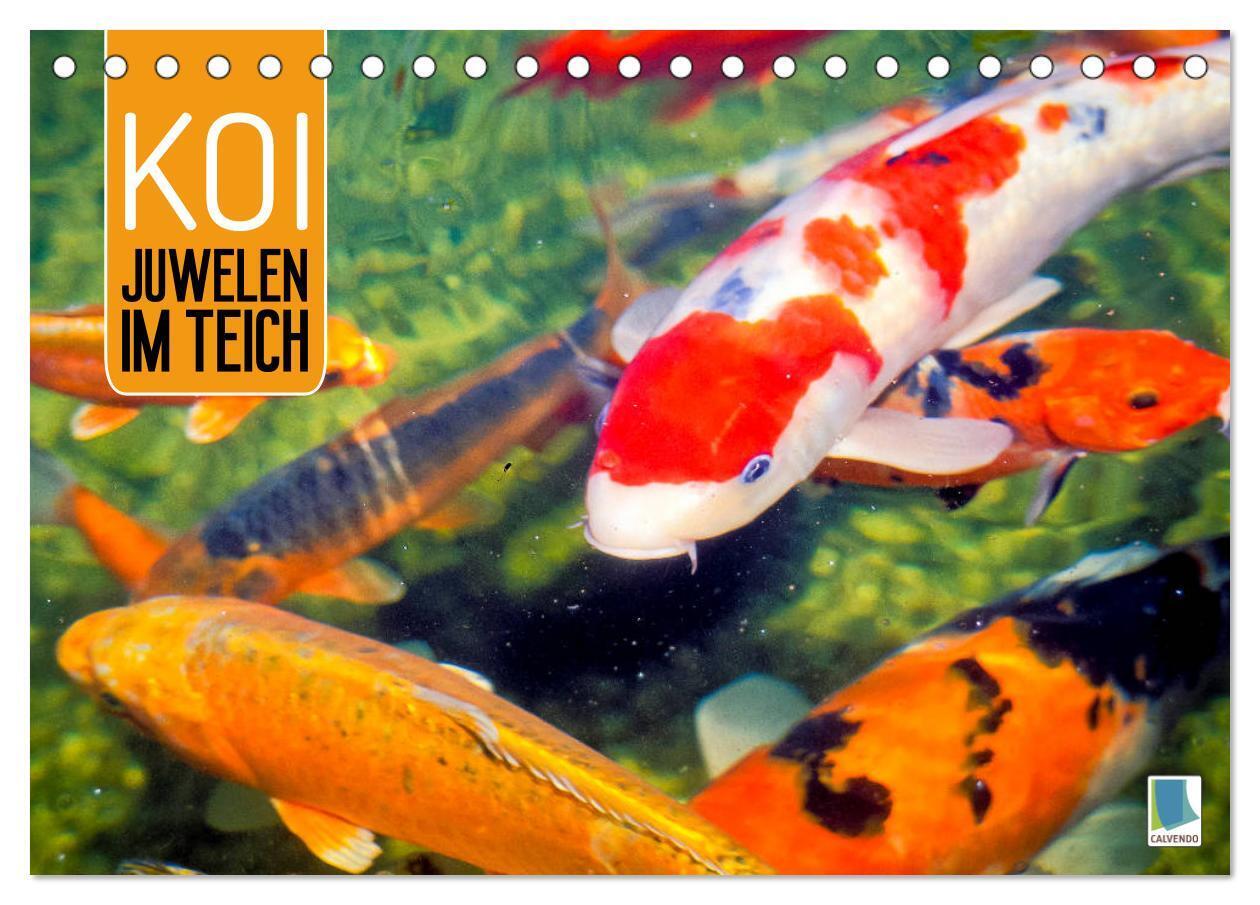 Koi: Juwelen im Teich (Tischkalender 2024 DIN A5 quer), CALVENDO Monatskalender