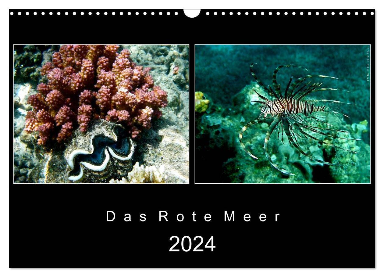 Das Rote Meer - 2024 (Wandkalender 2024 DIN A3 quer), CALVENDO Monatskalender