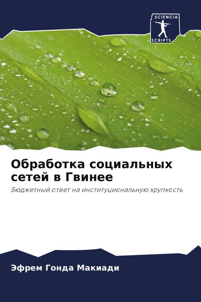 Obrabotka social'nyh setej w Gwinee