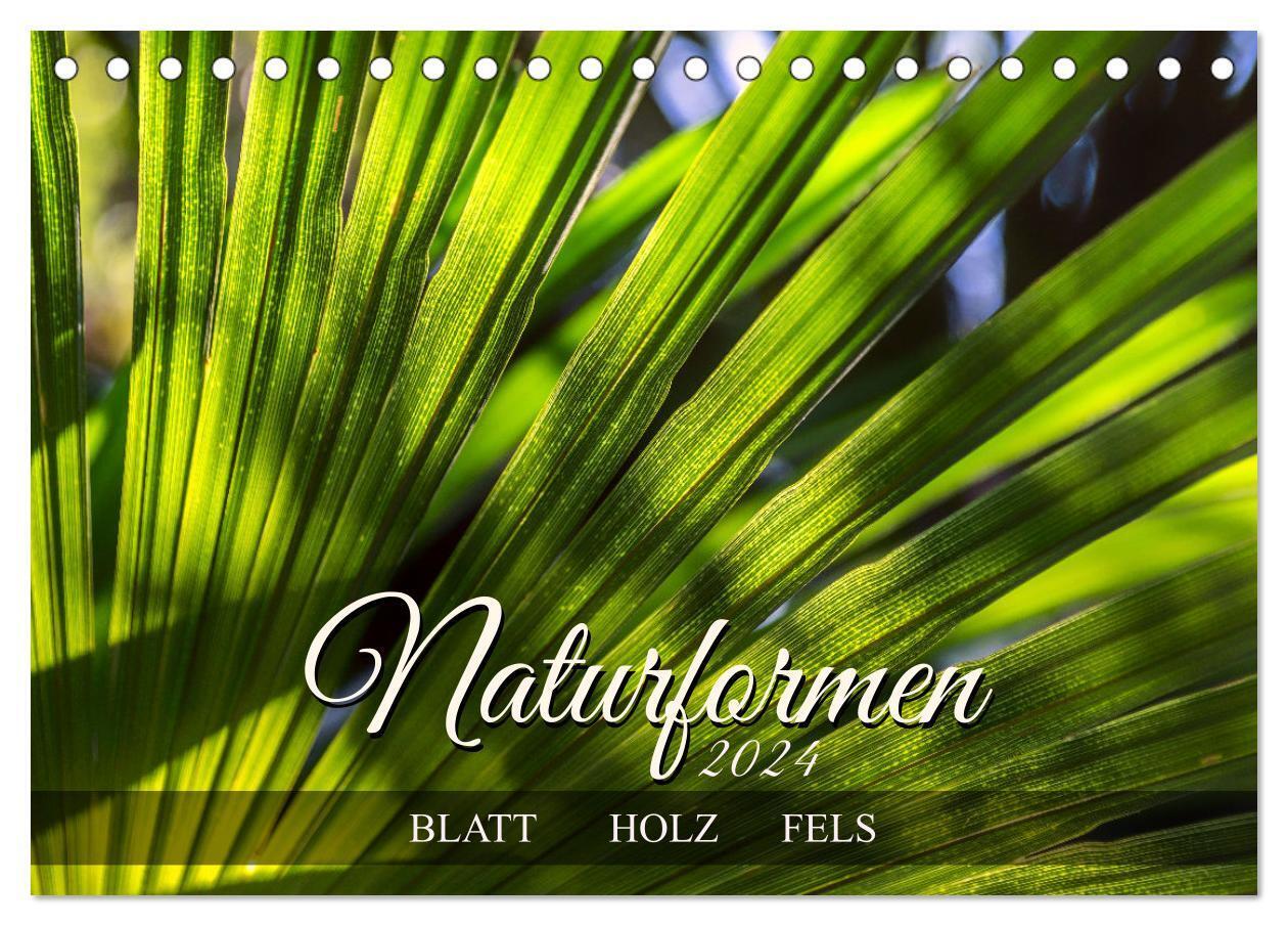 Naturformen, Blatt, Holz, Fels (Tischkalender 2024 DIN A5 quer), CALVENDO Monatskalender
