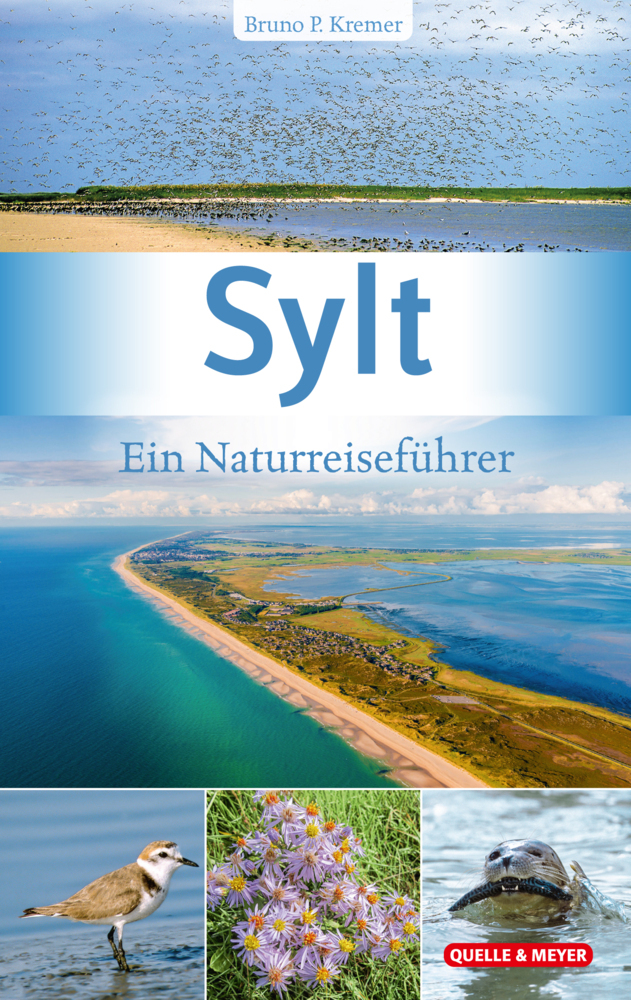Sylt