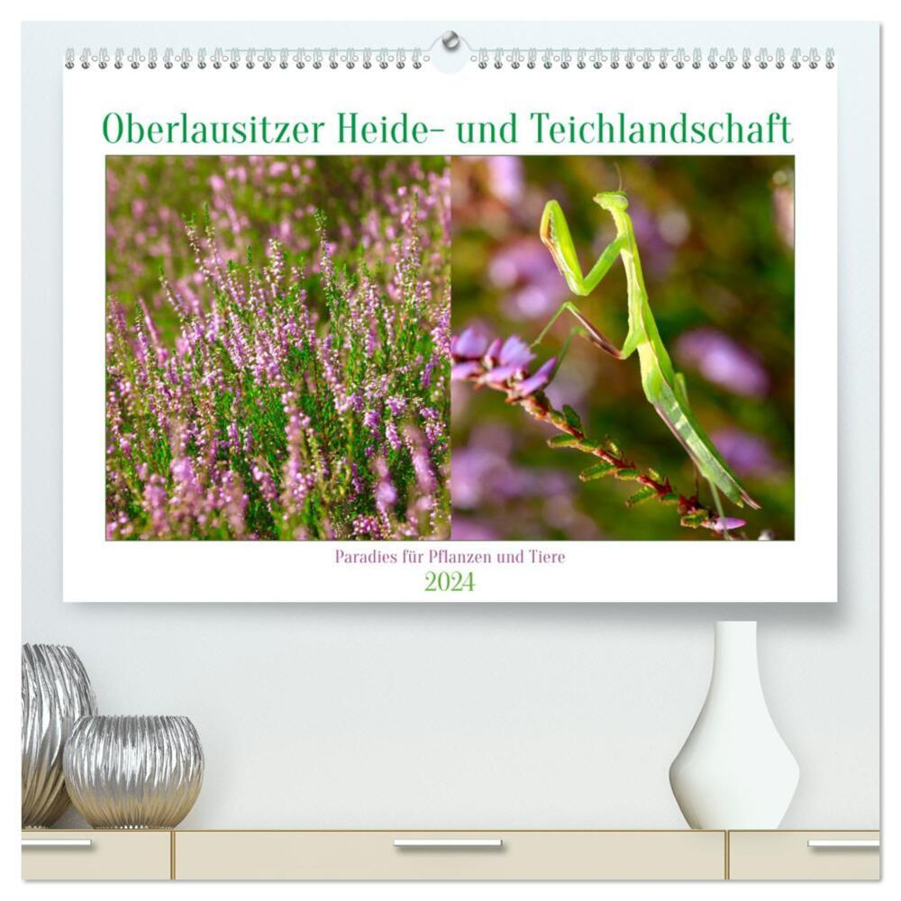 Oberlausitzer Heide- und Teichlandschaft (hochwertiger Premium Wandkalender 2024 DIN A2 quer), Kunstdruck in Hochglanz