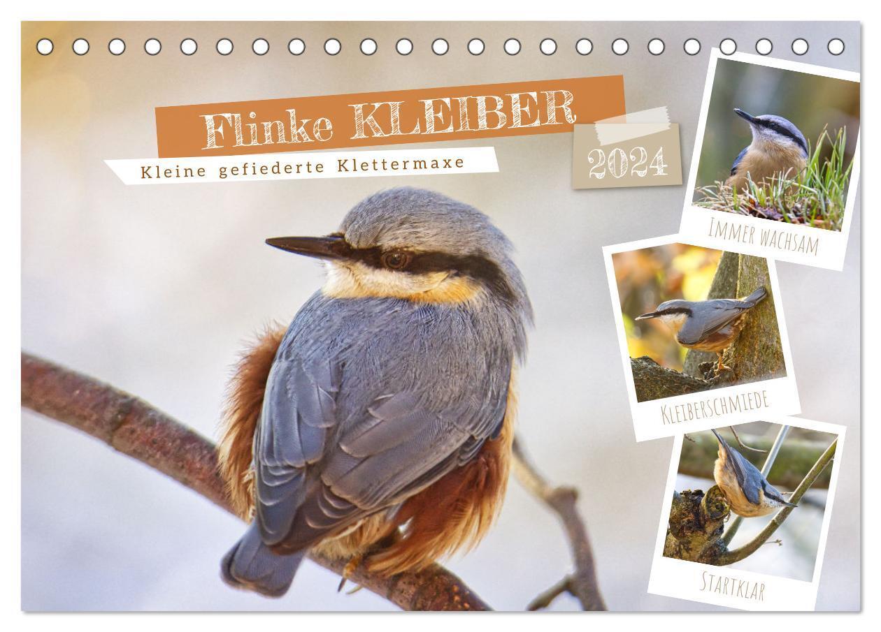 Flinke Kleiber (Tischkalender 2024 DIN A5 quer), CALVENDO Monatskalender