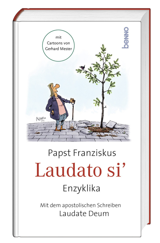 Laudato si