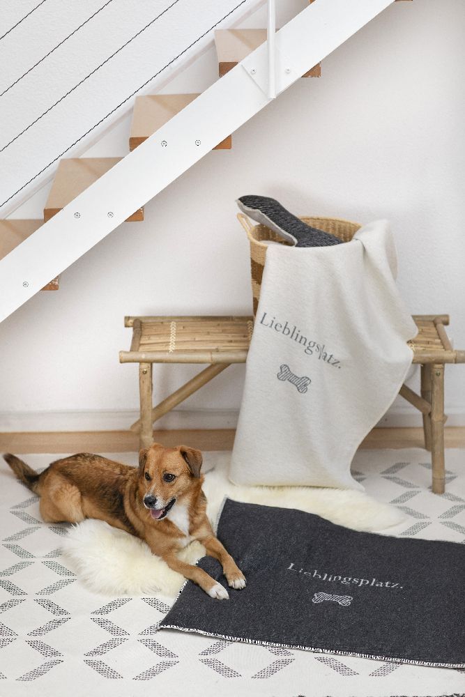 Fussenegger Hundematte, gefüttert - Lieblingsplatz, gross