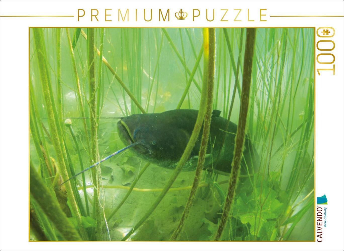 CALVENDO Puzzle Wels im Lac de Paladru, Auvergne-Rhône-Alpes | 1000 Teile Lege-Größe 64x48cm Foto-Puzzle für glückliche Stunden
