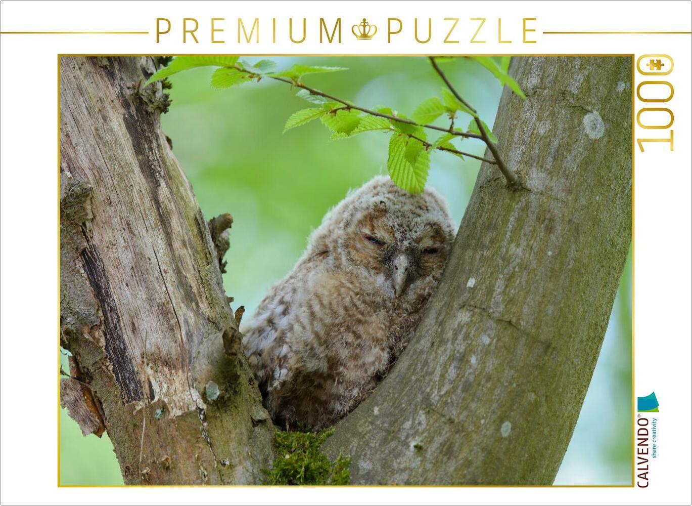 CALVENDO Puzzle Müder Tagträumer | 1000 Teile Lege-Größe 64x48cm Foto-Puzzle für glückliche Stunden