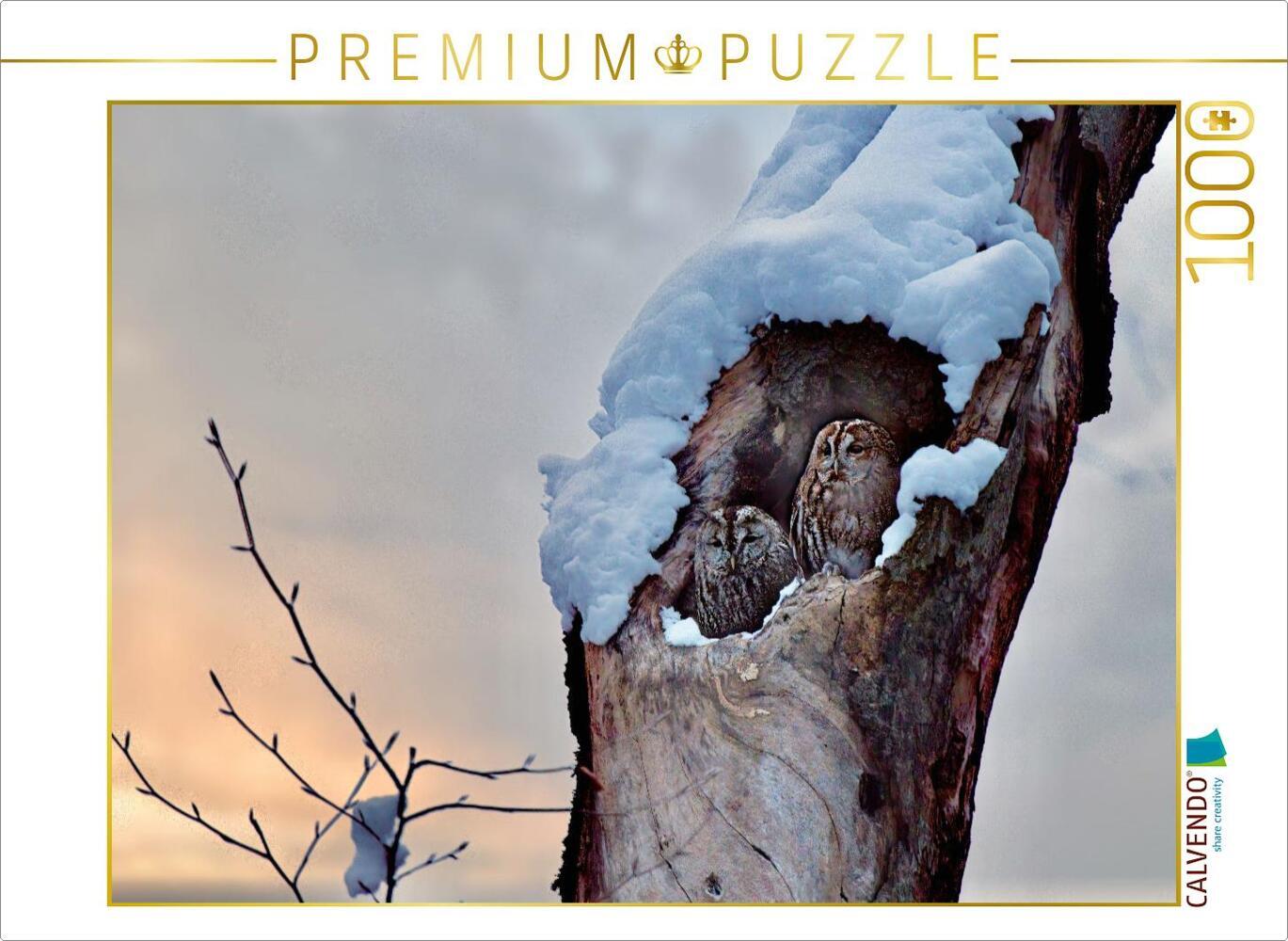 CALVENDO Puzzle Winter im Kauzwald | 1000 Teile Lege-Größe 64x48cm Foto-Puzzle für glückliche Stunden