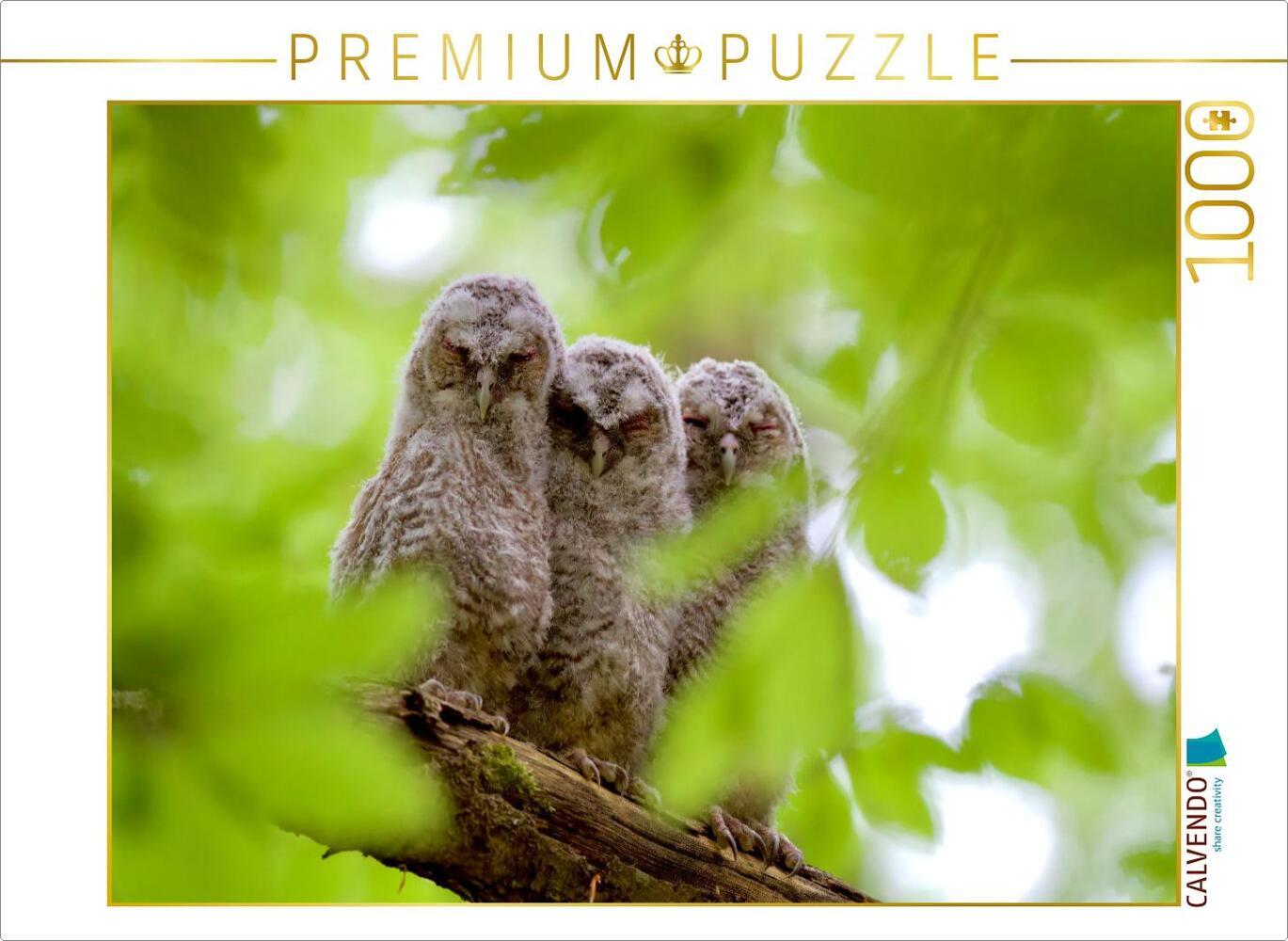 CALVENDO Puzzle Geschwister | 1000 Teile Lege-Größe 64x48cm Foto-Puzzle für glückliche Stunden