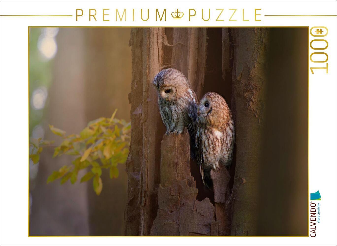 CALVENDO Puzzle Eulenliebe | 1000 Teile Lege-Größe 64x48cm Foto-Puzzle für glückliche Stunden