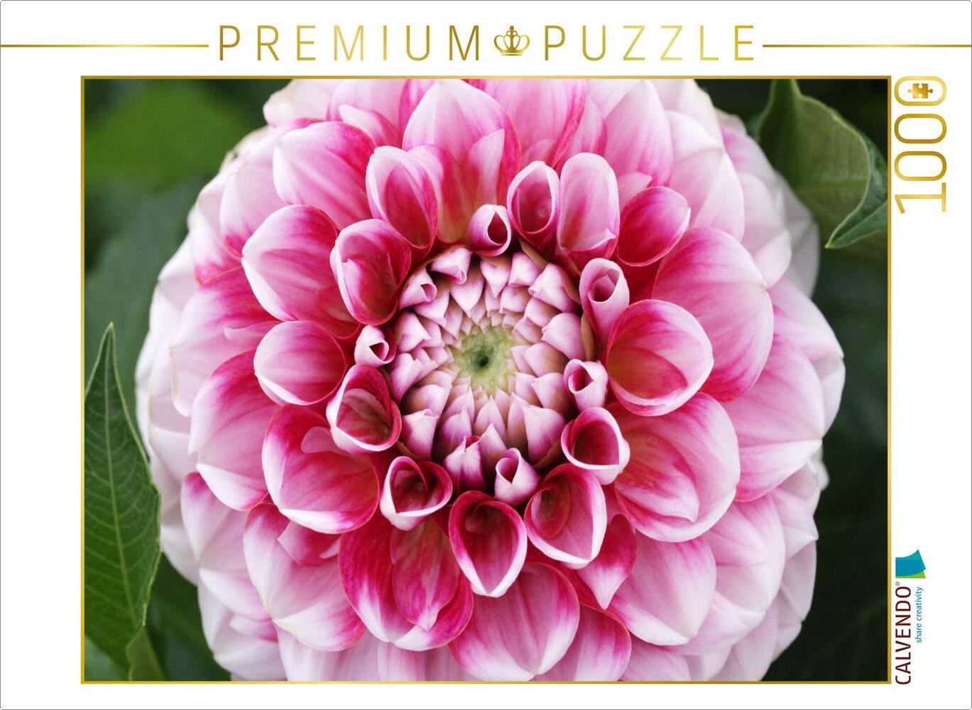 CALVENDO Puzzle Dahlienblüte | 1000 Teile Lege-Größe 64x48cm Foto-Puzzle für glückliche Stunden