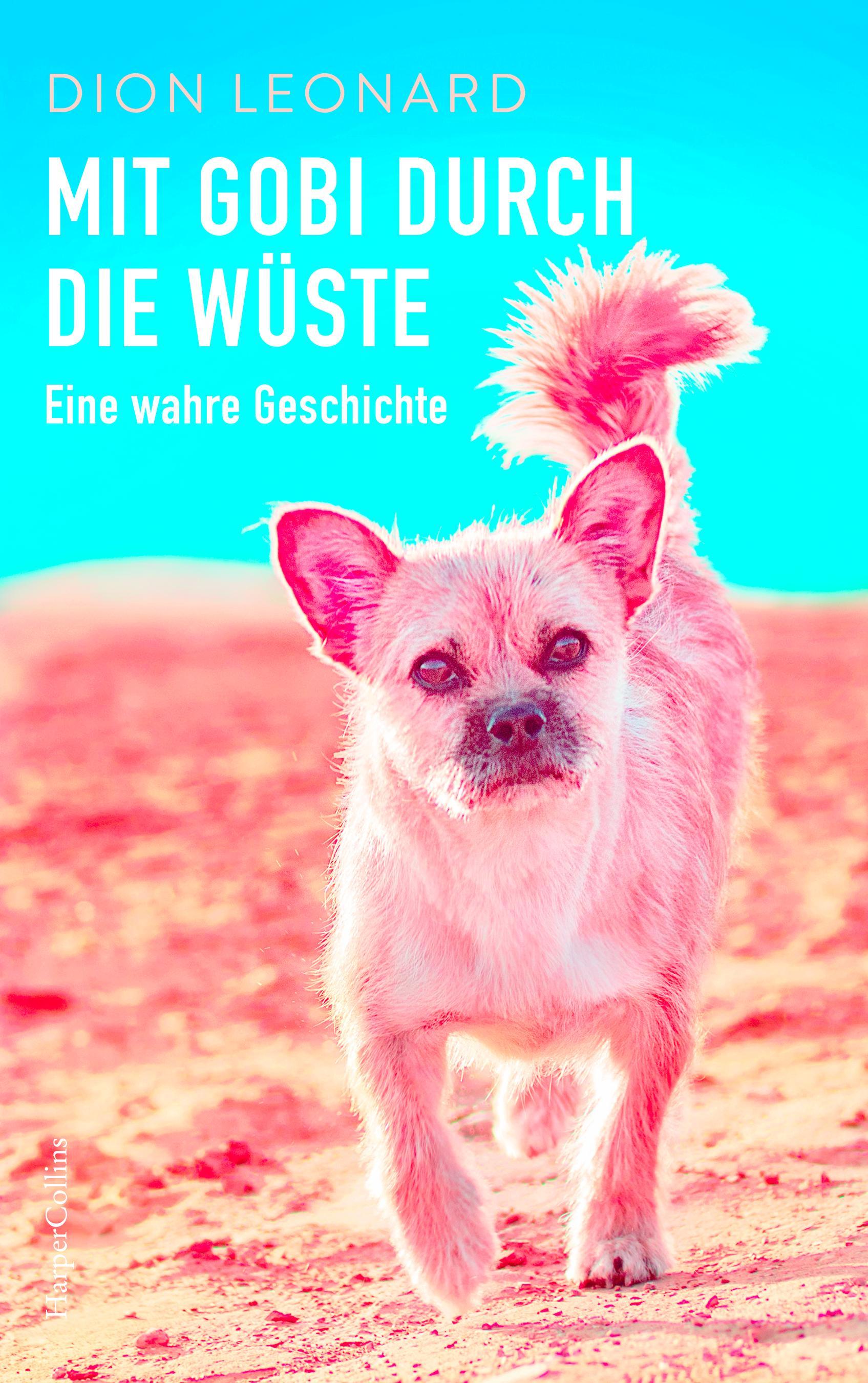 Mit Gobi durch die Wüste - eine wahre Geschichte