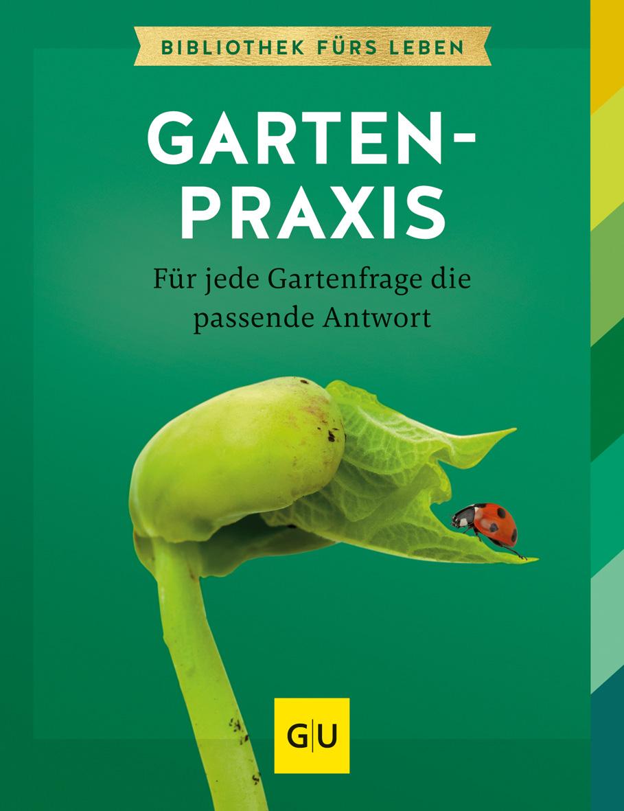 Gärtnern für Gartenneulinge