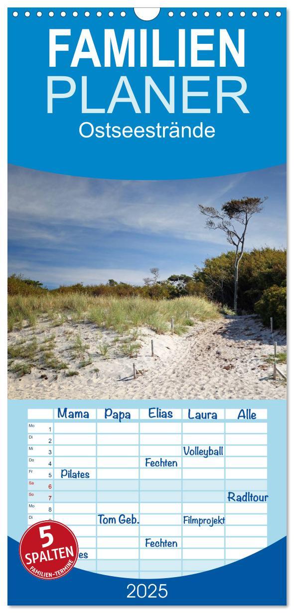 Familienplaner 2025 - Ostseestrände mit 5 Spalten (Wandkalender, 21 x 45 cm) CALVENDO