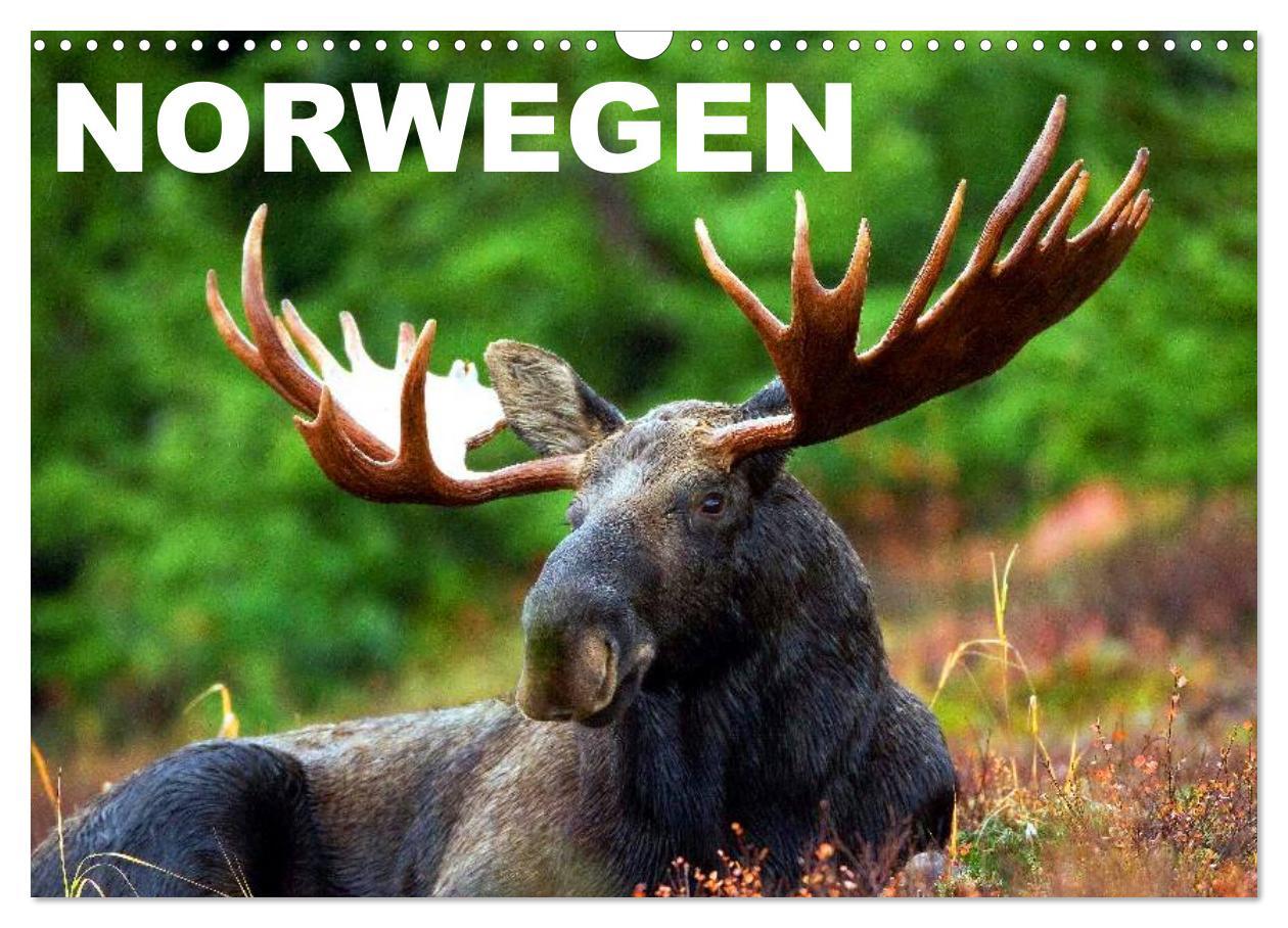 Norwegen (Wandkalender 2025 DIN A3 quer), CALVENDO Monatskalender