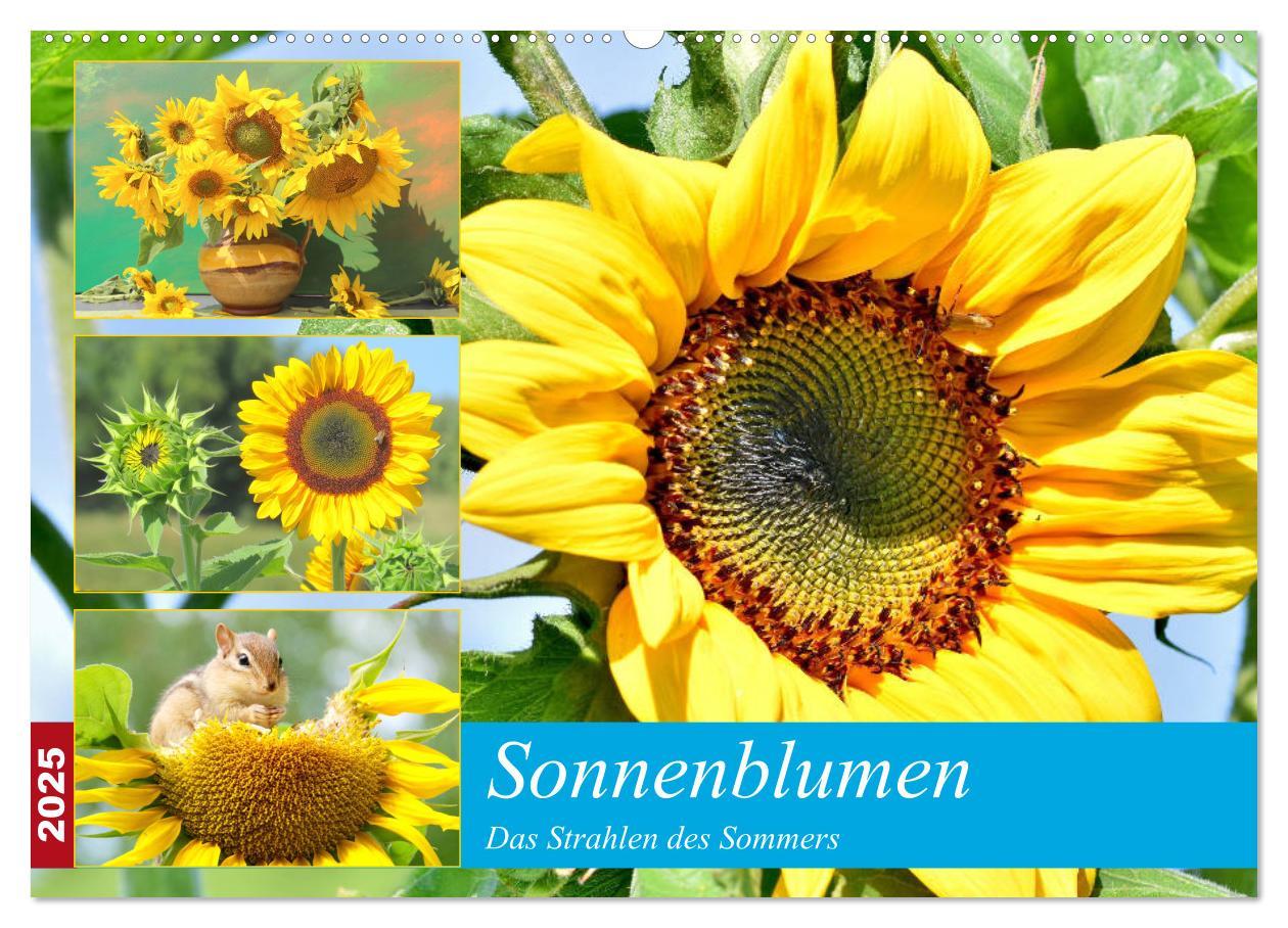 Sonnenblumen. Das Strahlen des Sommers (Wandkalender 2025 DIN A2 quer), CALVENDO Monatskalender