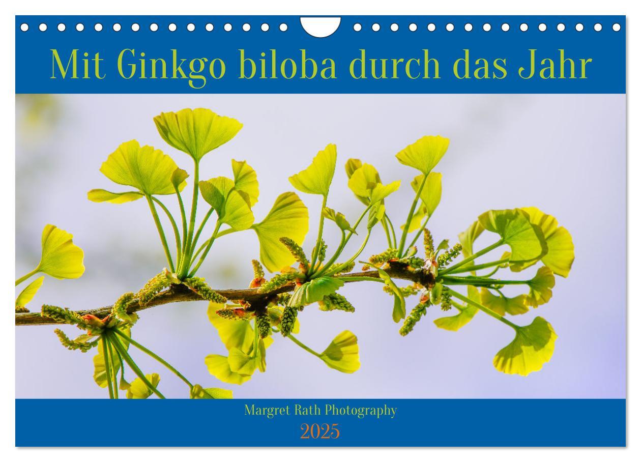 Mit Ginkgo biloba durch das Jahr (Wandkalender 2025 DIN A4 quer), CALVENDO Monatskalender