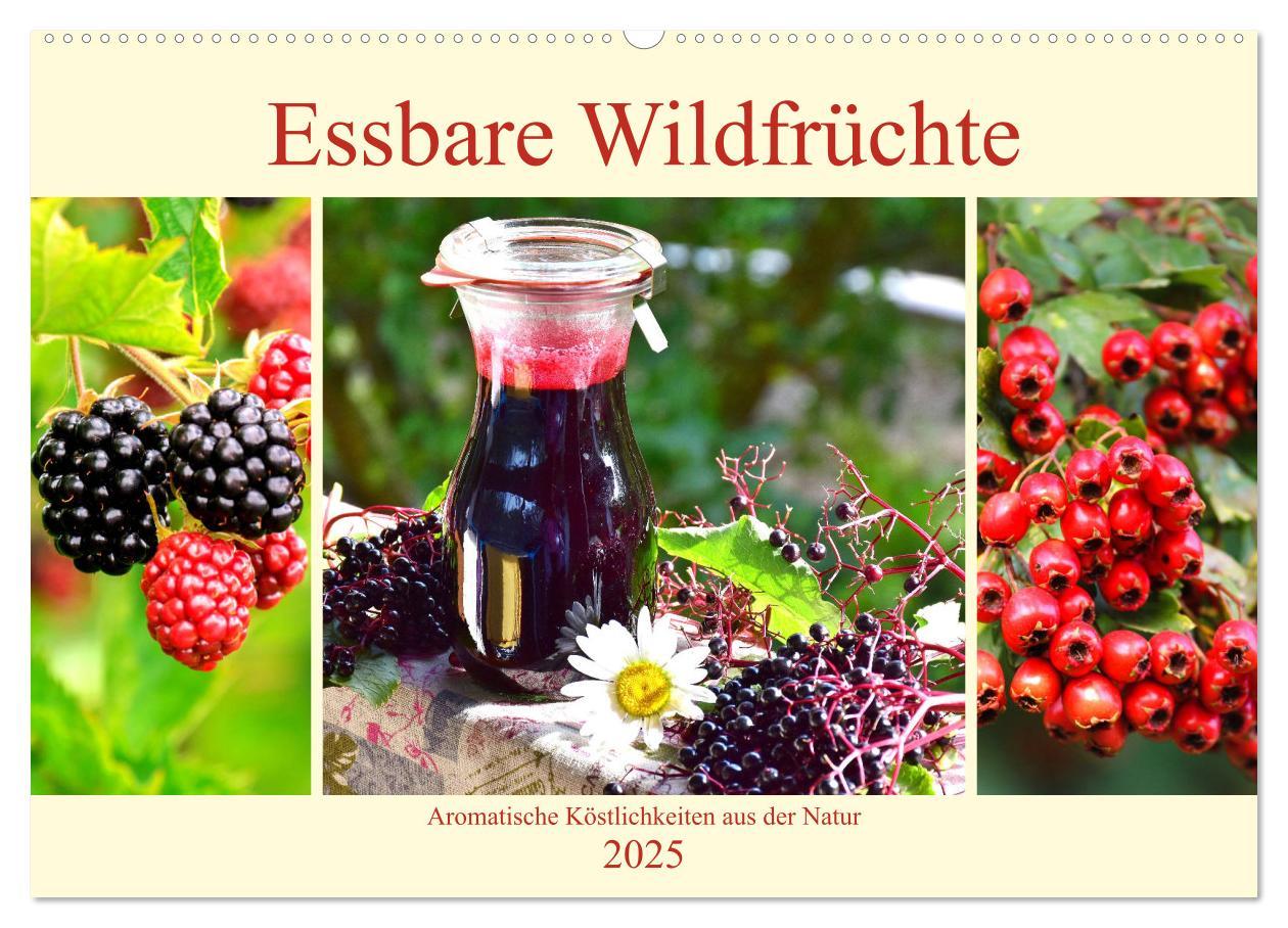 Essbare Wildfrüchte. Aromatische Köstlichkeiten aus der Natur (Wandkalender 2025 DIN A2 quer), CALVENDO Monatskalender