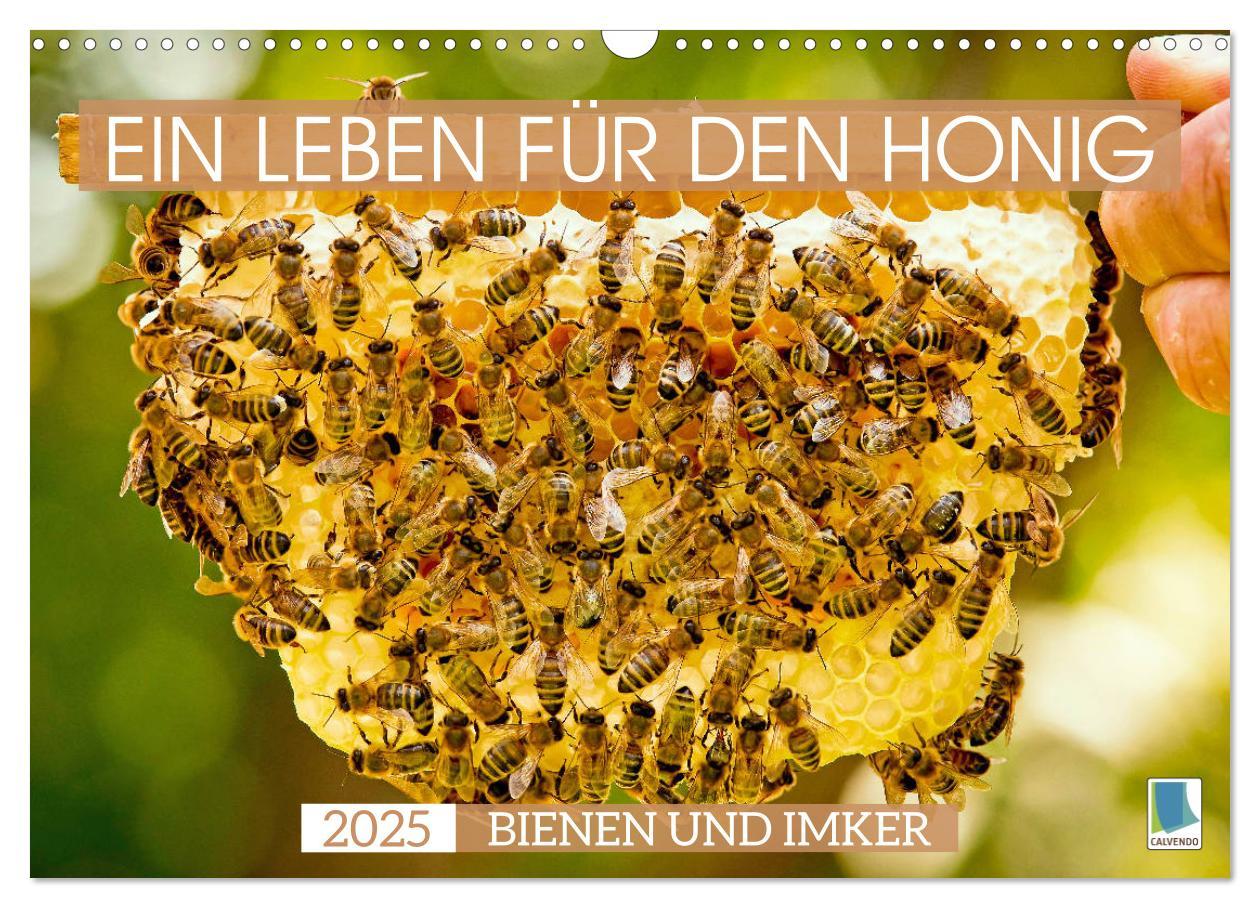 Ein Leben für den Honig - Bienen und Imker (Wandkalender 2025 DIN A3 quer), CALVENDO Monatskalender