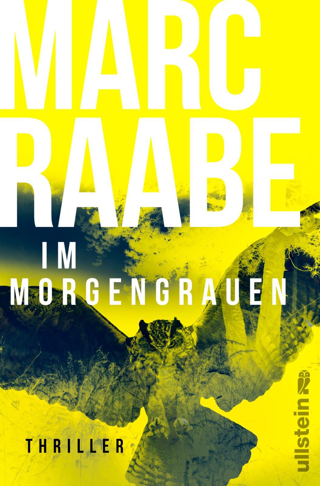 Im Morgengrauen