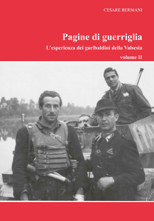 Pagine di guerriglia. L'esperienza dei garibaldini della Valsesia