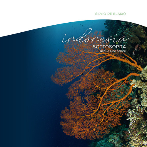 Indonesia sottosopra. Ediz. a colori